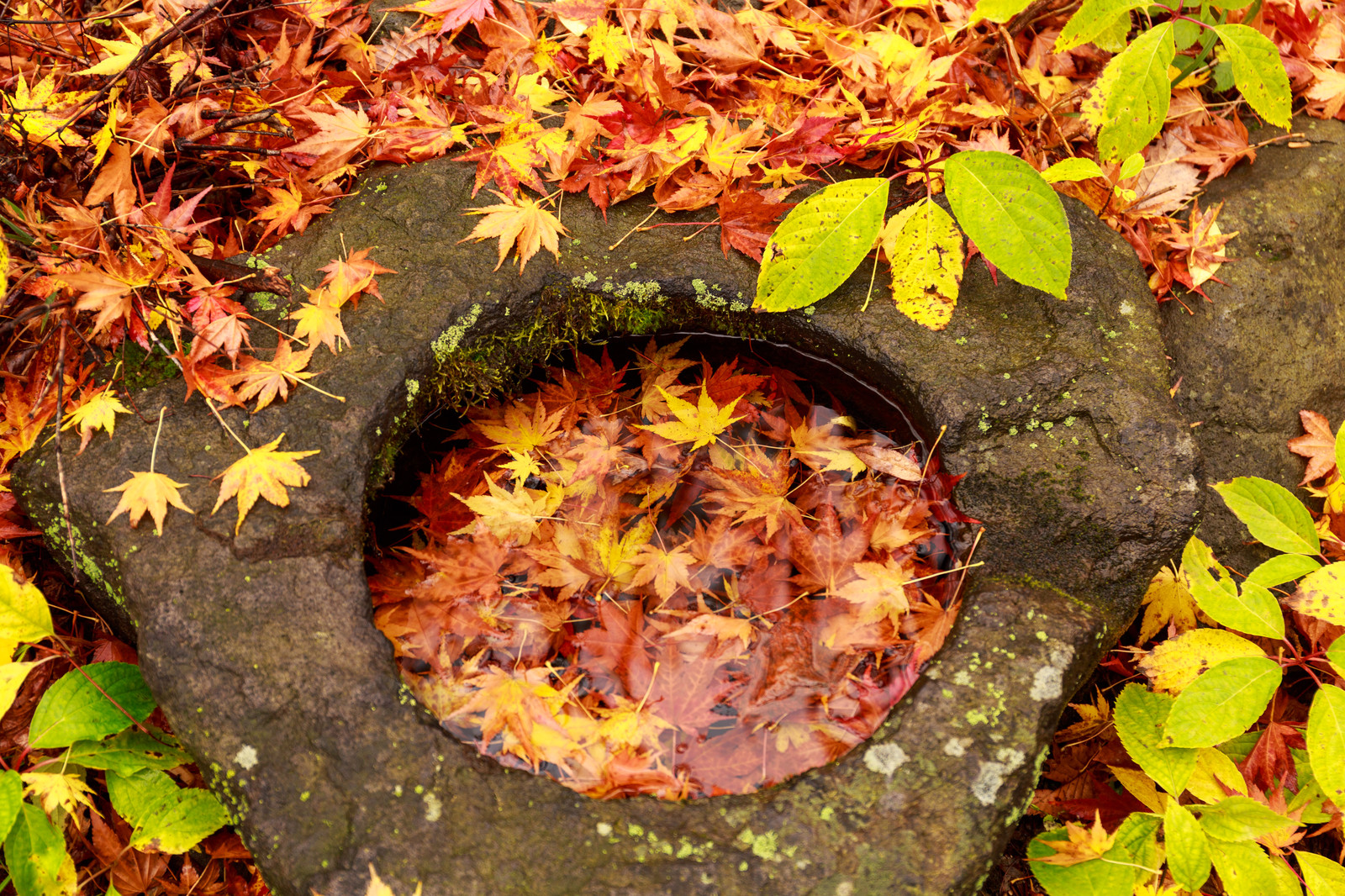 談山神社の紅葉の見頃と混雑 紅葉まつりとライトアップは ヒデくんのなんでもブログ