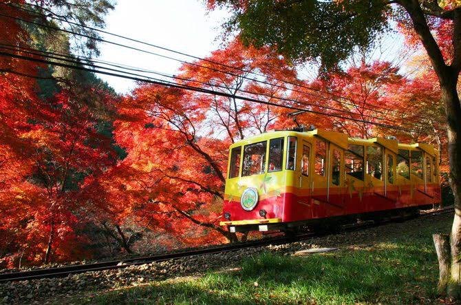 高尾山の紅葉の見頃時期と混雑予想 コースや服装について ヒデくんのなんでもブログ