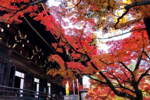 日光の紅葉21渋滞混雑予測と見頃時期は 紅葉スポットはどこ ヒデくんのなんでもブログ