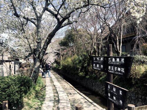 哲学の道桜23アクセスは 駐車場は 桜まつりや混雑予想も ヒデくんのなんでもブログ