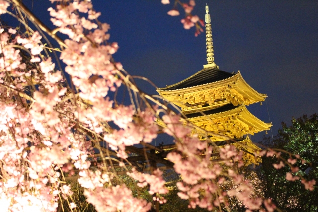 東寺の桜の見頃とライトアップ 混雑予想とアクセスや駐車場情報も ヒデくんのなんでもブログ