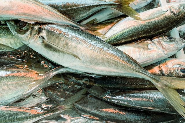 魚の鮮度の見分け方や選び方 Epaは青魚 Dhaは認知予防も ヒデくんのなんでもブログ