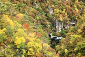 高野山の紅葉の見頃の時期と混雑予想 ライトアップ スポットは ヒデくんのなんでもブログ