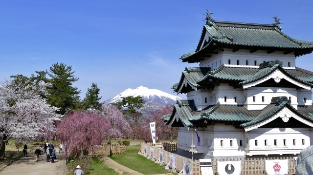 弘前公園の桜21の見頃や桜のハートとは 種類や本数と駐車場情報 ヒデくんのなんでもブログ