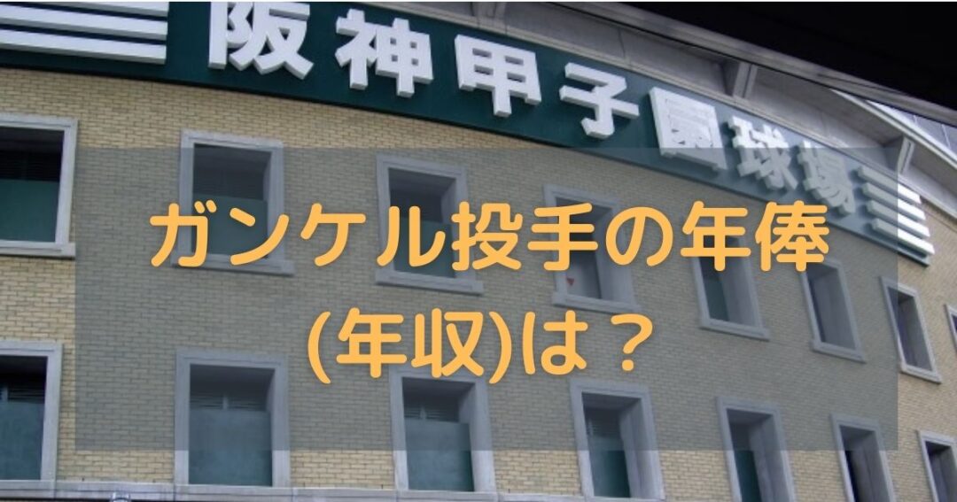 ガンケル投手の年俸 年収 は 嫁は中学教師でガンケルも臨時教師 ヒデくんのなんでもブログ